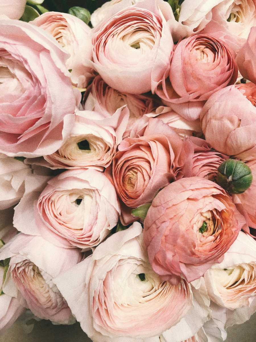 Beautiful flowers in Peru